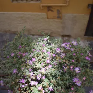  Appartamento Casa San Michele - Monolocale Con Bagno E Cottura